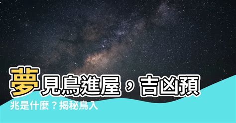 夢見鳥飛進房間|夢見鳥是什麼寓意